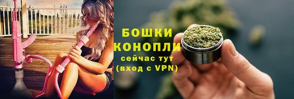 трава Козельск