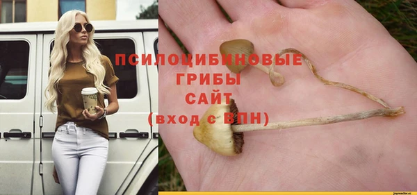 трава Козельск