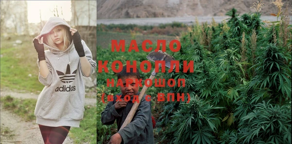 гашик Козловка