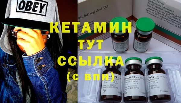 гашик Козловка