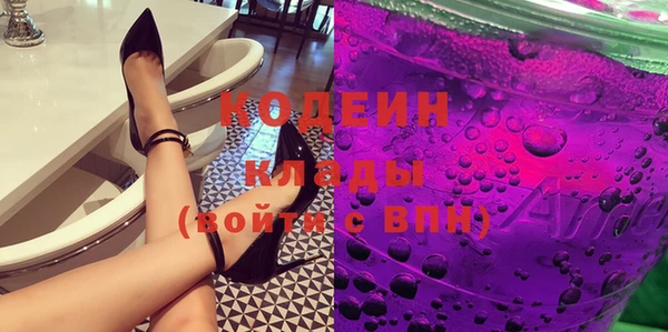 гашик Козловка