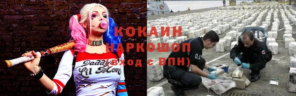 трава Козельск