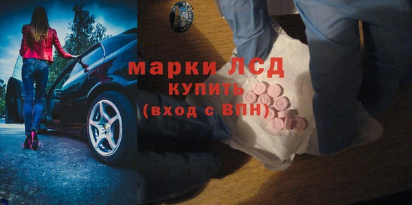 гашик Козловка