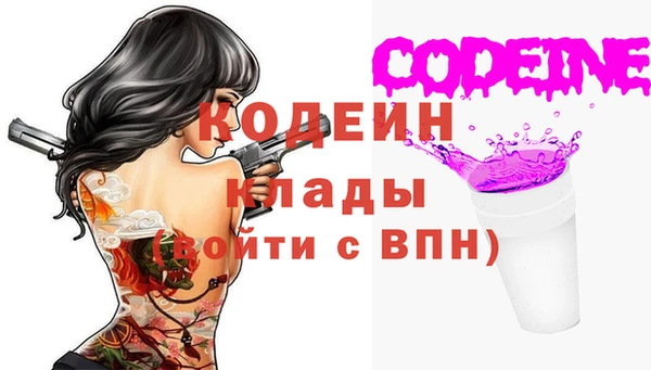 гашик Козловка