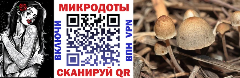 Галлюциногенные грибы ЛСД  купить наркотик  МЕГА   Сухиничи 